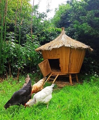 Gites By Medoc Begadan ภายนอก รูปภาพ