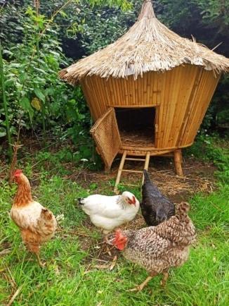 Gites By Medoc Begadan ภายนอก รูปภาพ
